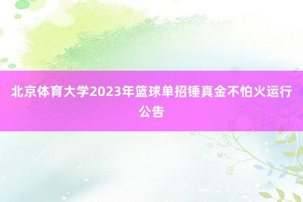 北京体育大学2023年篮球单招锤真金不怕火运行公告